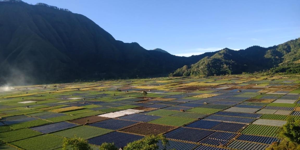 Rinjani Hill Hotel Sembalunlawang Dış mekan fotoğraf