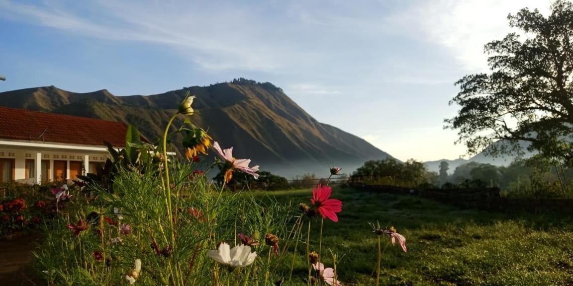 Rinjani Hill Hotel Sembalunlawang Dış mekan fotoğraf