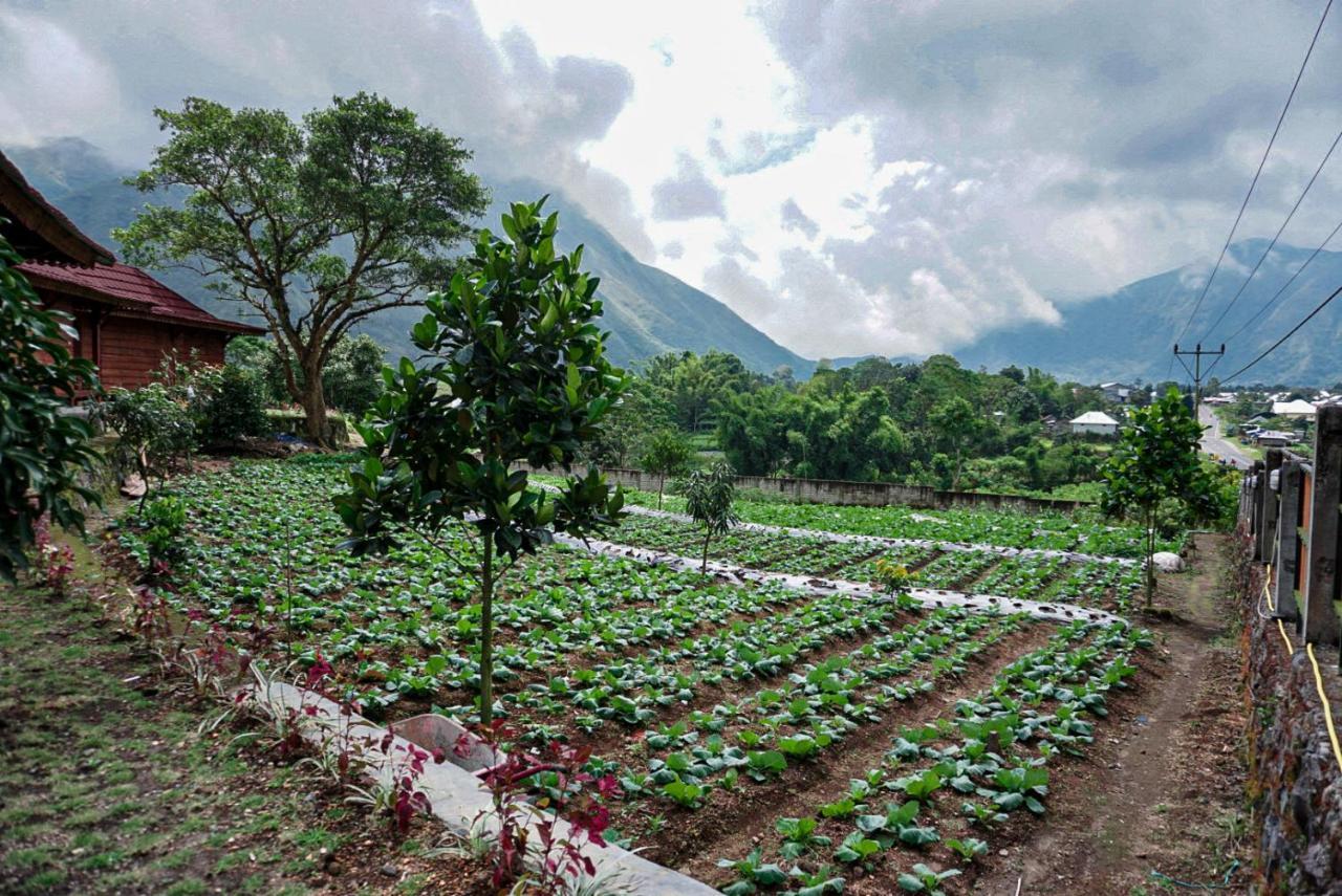 Rinjani Hill Hotel Sembalunlawang Dış mekan fotoğraf