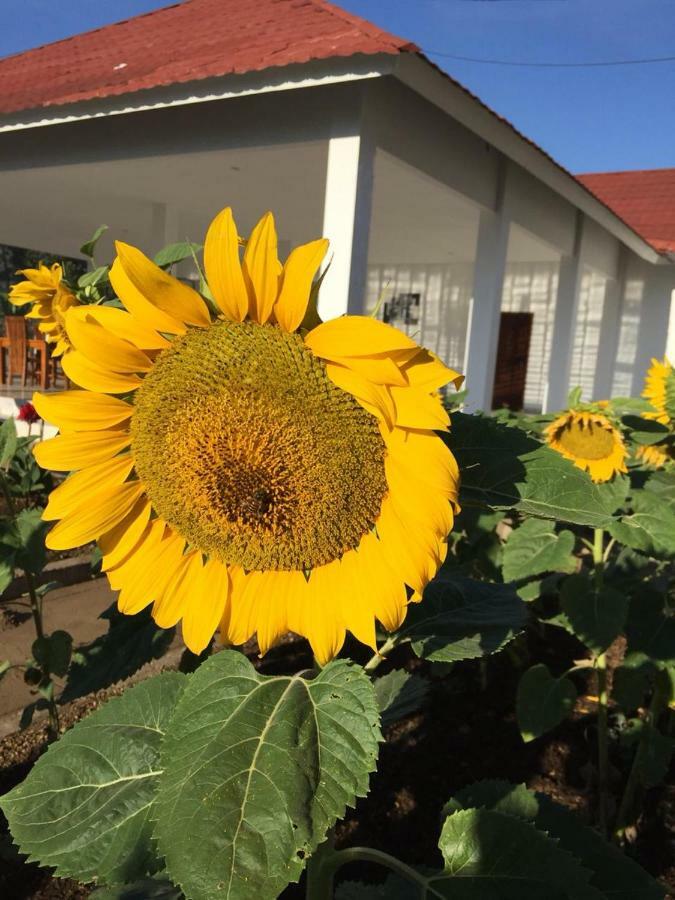 Rinjani Hill Hotel Sembalunlawang Dış mekan fotoğraf