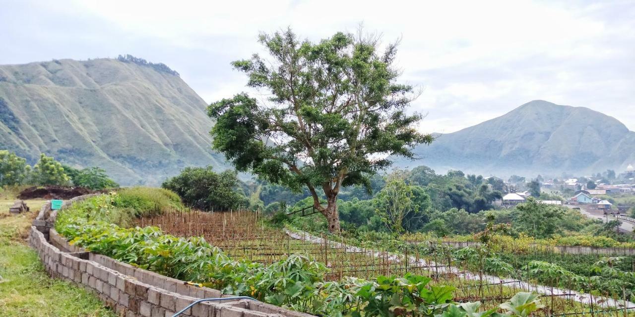 Rinjani Hill Hotel Sembalunlawang Dış mekan fotoğraf